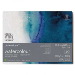 Image de Winsor & Newton Papier, 100% Coton, Bloc Coll&eacute; Grain Torchon 300G 22,9X30,5Cm 20F, Set de 20 Pi&egrave;ces