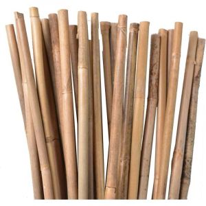 30 x Tuteur en Bambou 120 cm, 9-12 mm. Baguettes de bambou, canne de bambou écologique pour soutenir les arbres