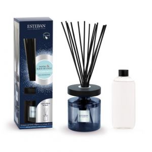 Bouquet parfumé Ellipse 200ml
