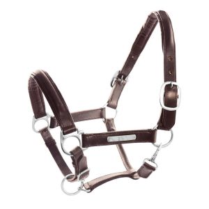Licol pour cheval avec boucles en laiton double cuir Umbria Equitazione