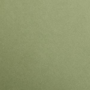 Clairefontaine Maya rame 25F A2 185g - Kaki