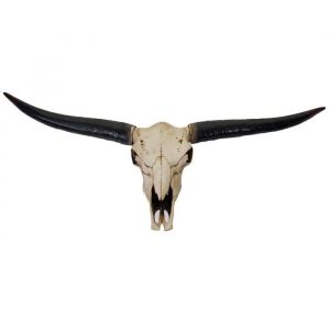 D&eacute;coshop26 Cr&acirc;ne d&eacute;coratif 132cm troph&eacute;e t&ecirc;te de taureau longhorn en polyr&eacute;sine int&eacute;rieur/ext&eacute;rieur couleur naturelle 040002845