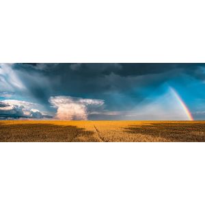 Ravensburger Puzzle Adulte - Puzzle 1000 pièces - Arc-en-Ciel Mystique (Nature Edition) - Adultes et Enfants à partir de 14 Ans - Puzzle de qualité supérieure - Paysage & Nature - 12000291