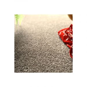Décoweb Moquette - Manège - Marron - Rouleau de 4m x 3m