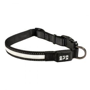 Collier pour chien LED en nylon Duvoplus Explor City M