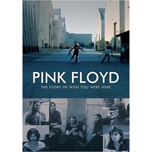 Pink Floyd : The story of Wish you were here