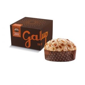 Gran Galup Panettones et pandoros PANETTONE pour mixte