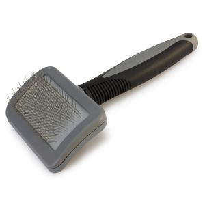 Arquivet Brosse carde spécial pour chien