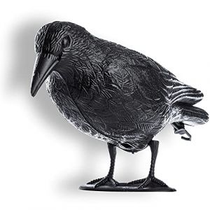 KADAX Répulsif à oiseaux pour corbeaux, pigeons, étourneaux, grand pour oiseaux de balcon xXL