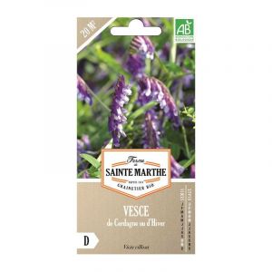 Vesce de cerdagne ou d'hiver bio Graines à semer La ferme de Sainte Mart