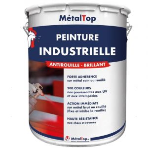 Peinture Industrielle - Gris graphite - RAL 7024 - Pot 5L