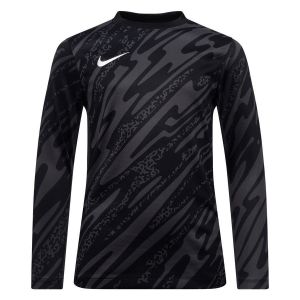 Nike Mixte Enfant Long Sleeve Top Y NK DF Gardien V Gk JSY Ls, Anthracite/Noir/Blanc, FD7480-060, M