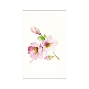 Komar Affiche d'art Magnolia Breathe - Taille: 50 x 70 cm - rose, vert, blanc