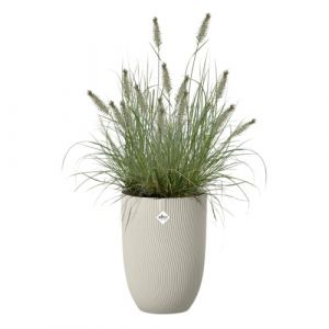 Elho Sereh High 30 - Pot de Fleur - Interieur & Ext&eacute;rieur - Plastique 100% Recycl&eacute; - &Oslash; 29.5 x H 40.5 cm - Beige/Beige Champignon