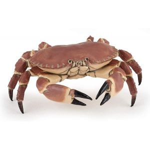 Figurine Crabe - Mixte