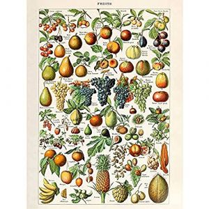 Millot Encyclopedia Page Fruit Grape Pineapple Unframed Wall Art Print Poster Home Decor Premium Mur Affiche Accueil Déco