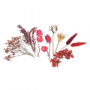 Fleurs s&eacute;ch&eacute;es - ton bordeaux - 10 pi&egrave;ces - jusqu'&agrave; H 13 cm environ
