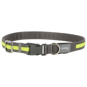 Kerbl Collier pour chien lumineux Light&Reflex