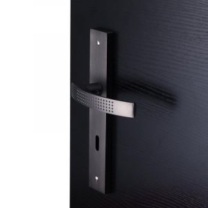 Inspire 2 poignées de porte Louna trou de clé, aluminium entraxe 195 mm