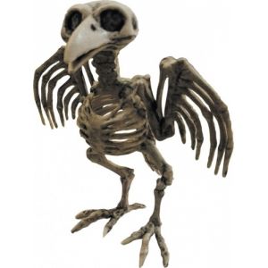Squelette de corbeau Halloween
