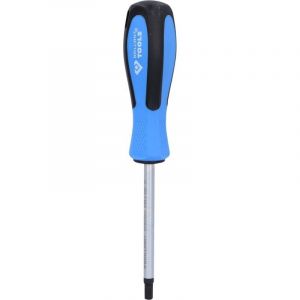 BRILLIANT TOOLS BT031042 Tournevis TORX, T40 x 100 mm [Powered by KS TOOLS]