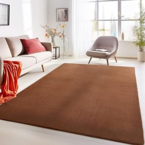 Tapis à Poils Ras, Couleur Marron, Unicolor - Monochrome, 112259, Tapis Rectangle, Tapis Salon-Salle à Manger ou Chambre, 240 x 340 cm