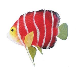 Nobby Scalaire Flottant 11 cm