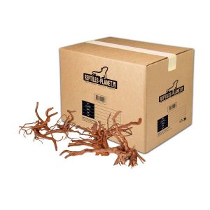 Reptiles Planet D&eacute;coration d'aquarium racine araign&eacute;e M