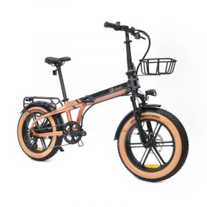 V&eacute;lo &Eacute;lectrique YOUIN Dallas BK1650 Pliant 250W 60 km Autonomie Suspensions FAT