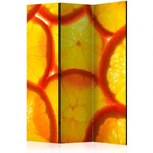 Artgeist Paravent 3 Volets "Orange Slices" 135x172cm