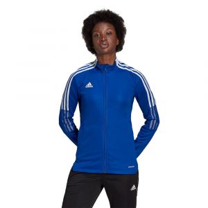 Adidas Tiro 21 Pistes Combinaison L Team Royal Blue