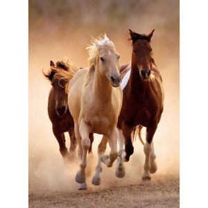 Clementoni Puzzle adulte - chevaux qui courent en liberte - 1000 pieces - collection animaux