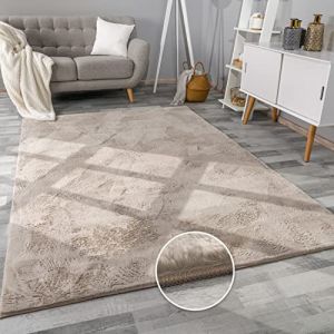 Tapis De Salon Fausse Fourrure Peluche Tapis Shaggy Long Lavable Divers Couleurs 120x170 cm, Beige - Paco Home