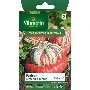 Vilmorin Potiron Giraumon Turban