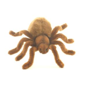 Anima Peluche Araignée 15 cm