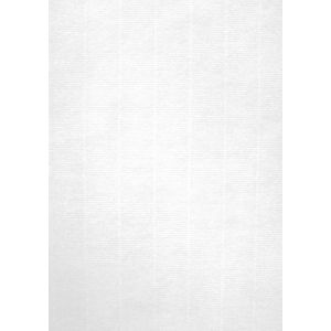 DECAdry Apli papier texture verjurÉ blanc 100 gr taille a4 - 100 feuilles -