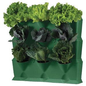 Image de Jany Lot de 3 jardinières Mini Garden