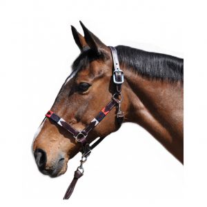 Licol pour cheval Flags&Cup Chukka