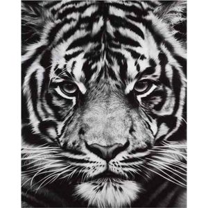 Peinture au numéro : Tête de Tigre en noir et blanc - sans châssis en bois