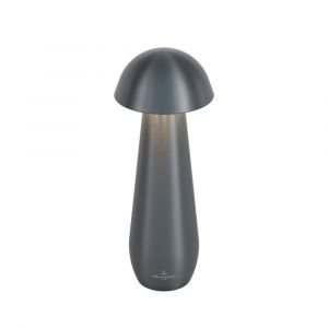 Villeroy & Boch Modena Lampe de table rechargeable
