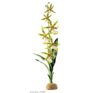 Exo terra Orquidee araignée - Plantes artificielles pour Reptiles