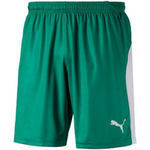 Puma Short Liga Shorts vert - Taille EU XXL,EU M,EU XL