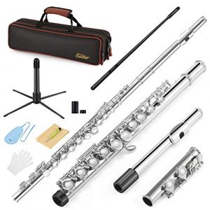 Eastar EFL-1 16 Keys Flute Nickel Plated Close Hole