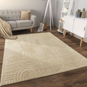 Tapis Salon Chambre Adulte Poils Ras Scandinave Motif Boho Motif Geometrique 160x220 cm, Beige 7 - Paco Home