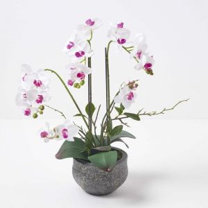Orchid&eacute;e artificielle blanche en pot en ciment gris 52 cm - Homescapes