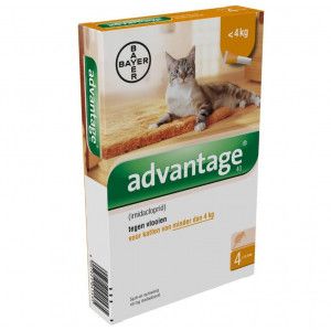 Advantage Nr. 40 pour chat ACTION TEMPORAIRE Par paquet