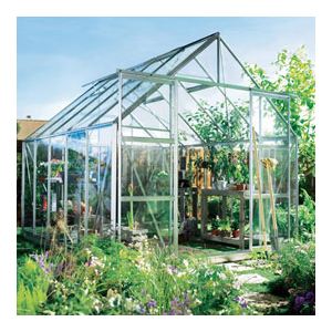 Halls Serre Magnum 128 en verre 9,90 m2