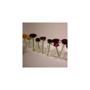 Image de Serax Vases soliflores en verre