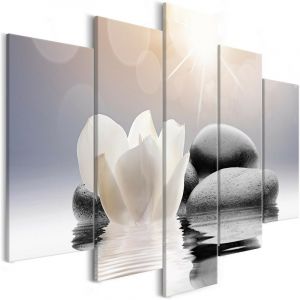 Artgeist Tableau - Natural Lightness (5 Parts) Wide - 100x50