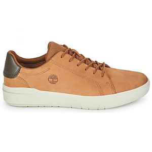 Timberland Baskets basses SENECA BAY OXFORD Marron - Taille 41,42,43,44